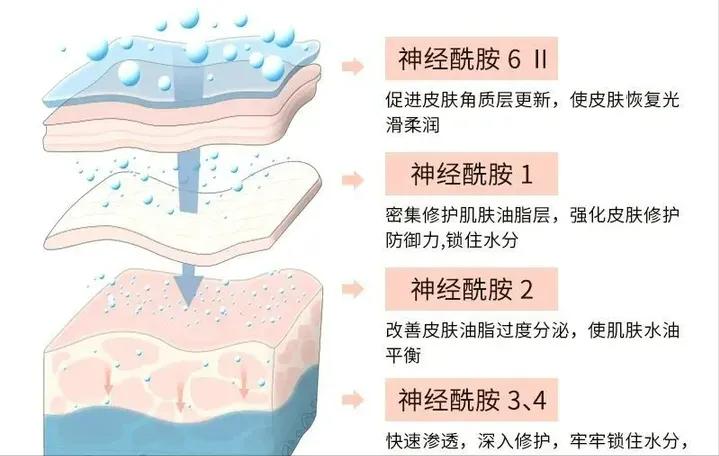 空调房待久了干燥,空调房呆久了皮肤干燥怎么办