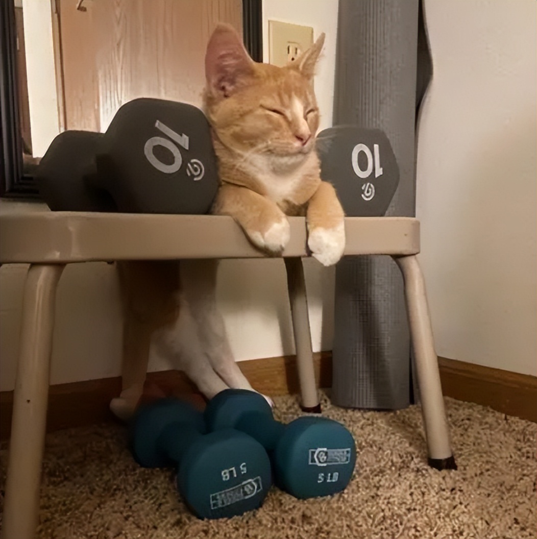 10年的湿疹终于找到了方法,终于摆脱了鼻炎的困扰