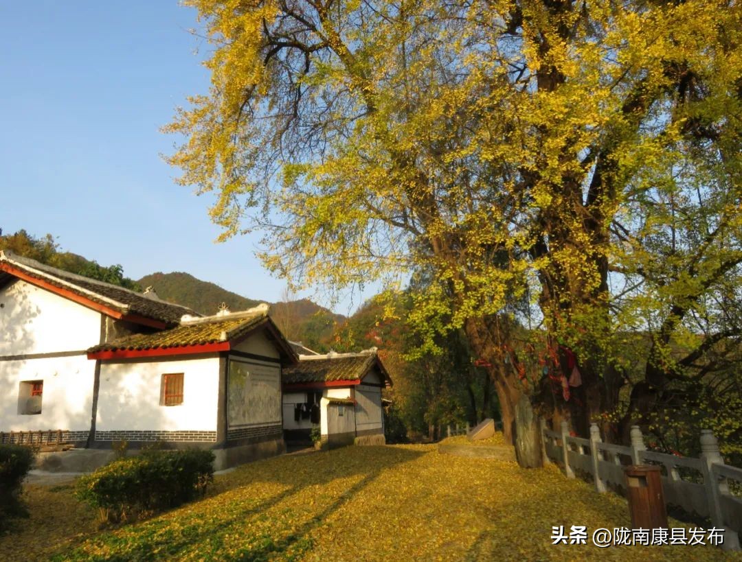 五一康养之旅,康养景区五一