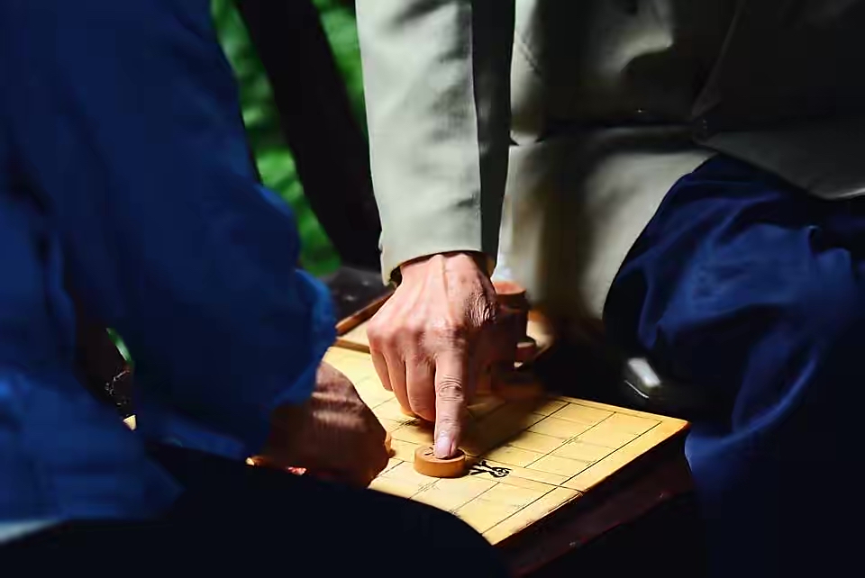 学下象棋的软件,少儿学下象棋