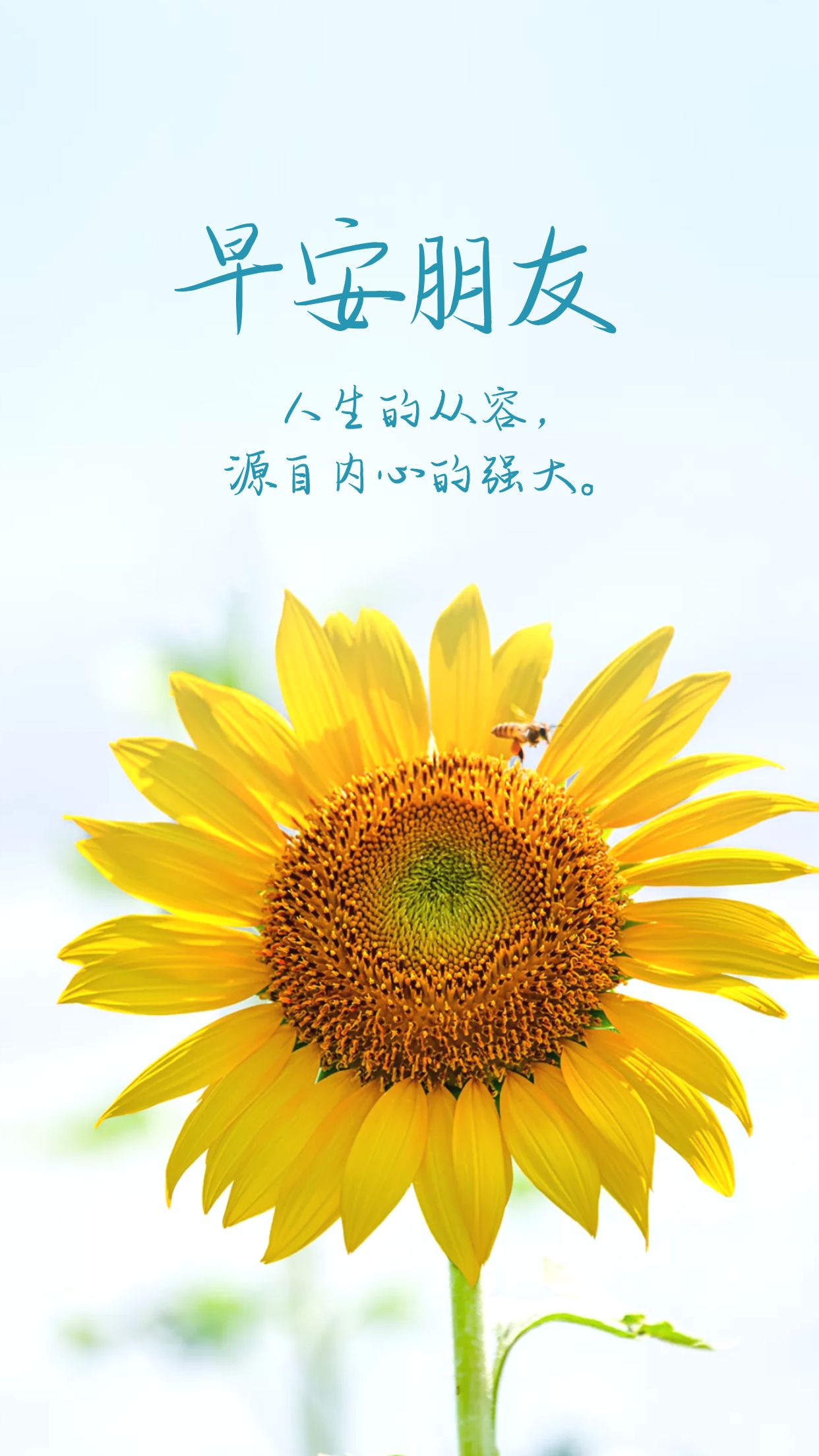 入秋天冷高情商早安语录,早安语录简短正能量天气冷