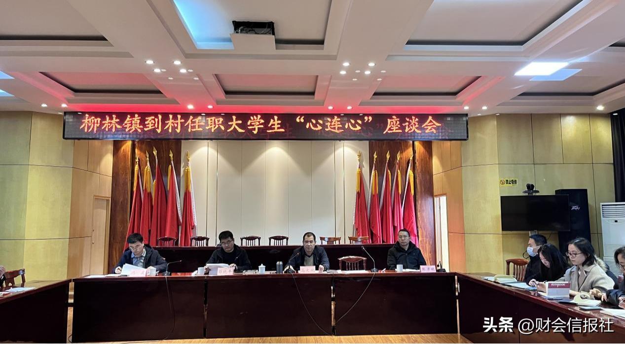 让青春与基层撞个满怀——柳林镇召开到村任职大学生“心连心”座谈会