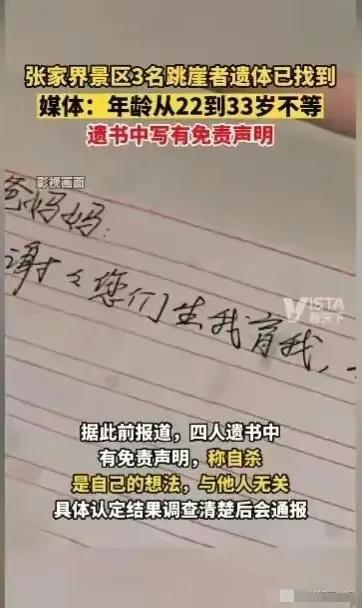 天门山三男一女跳崖事件,天门山跳崖的4人