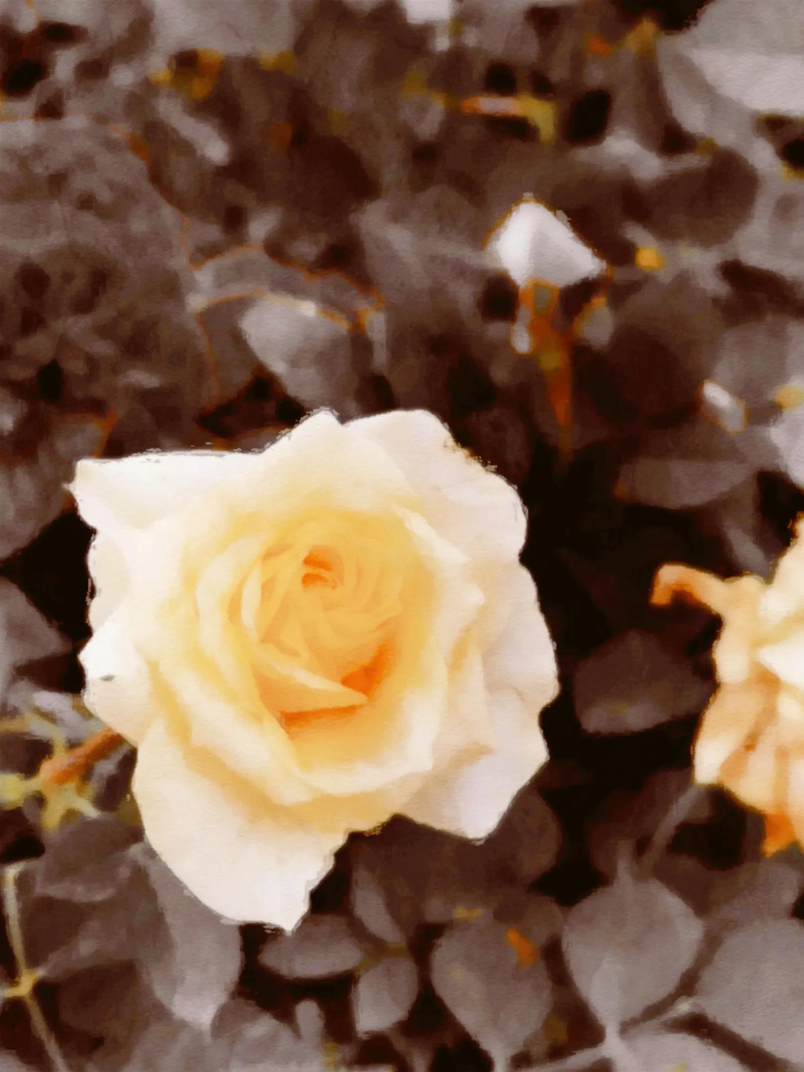 乳腺癌论文参考前言,一本书的前言参考