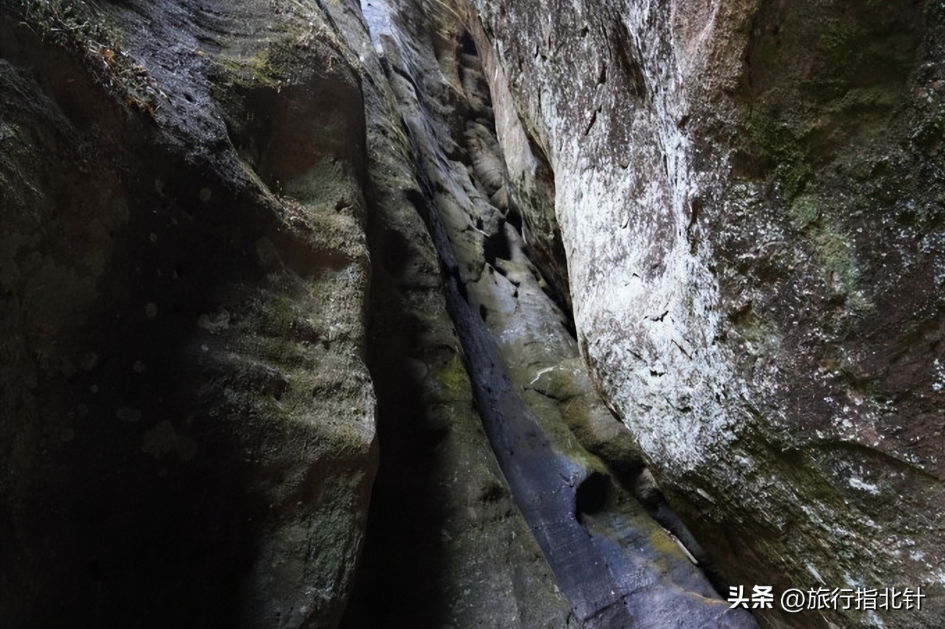 福建旅游攻略武夷山,福建武夷山旅游攻略一日游