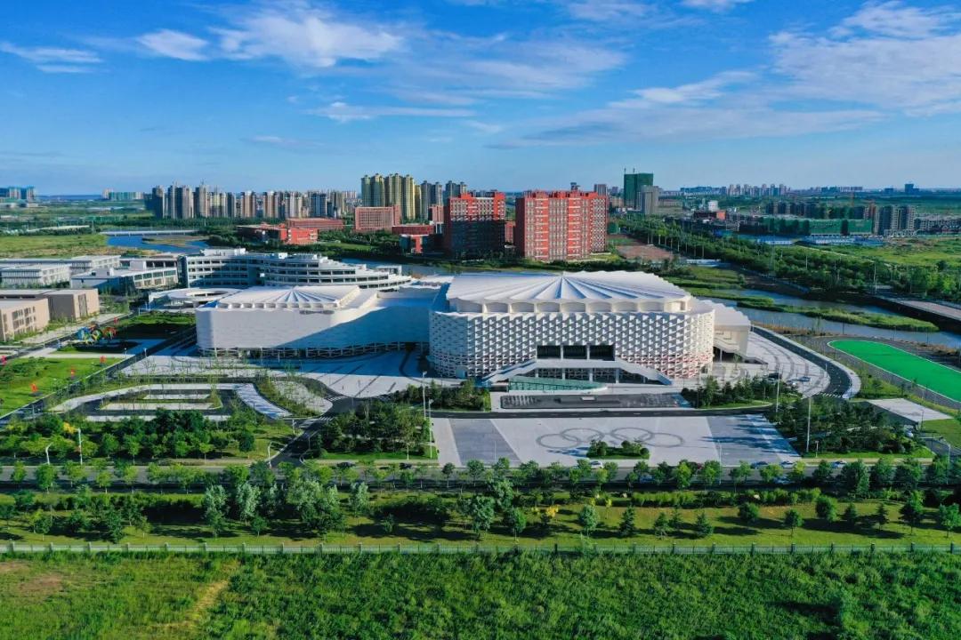 彩绘乒乓,乒乓嘉年华主题绘画