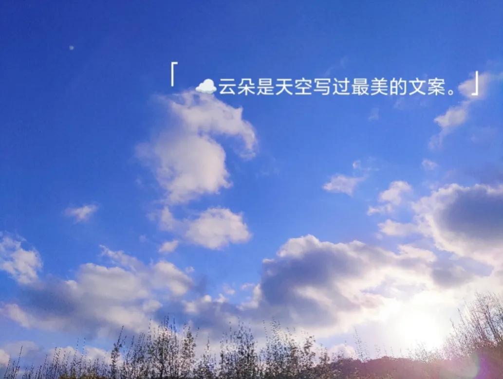 大学生创业被排挤的原因,大学生创业会被人瞧不起吗