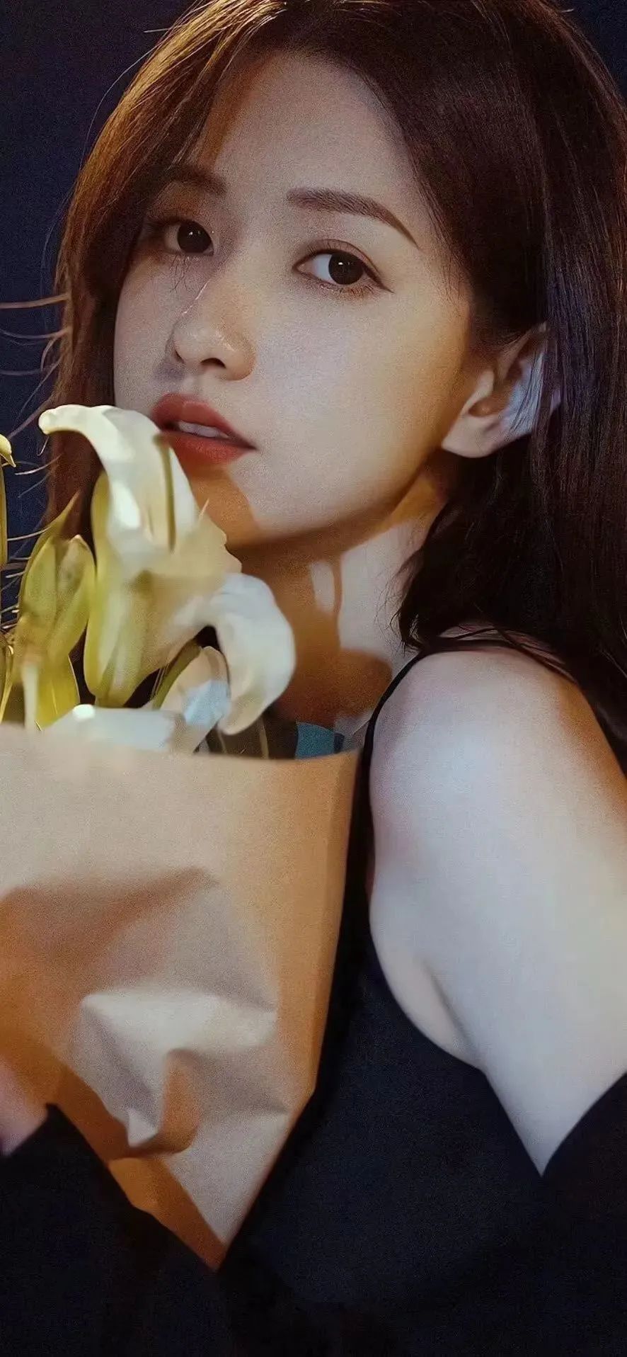 Ty精美壁纸|黑色小姐姐诱人壁纸