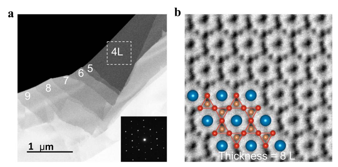 复旦医学院今年科研最新成果,复旦大学最新科研消息