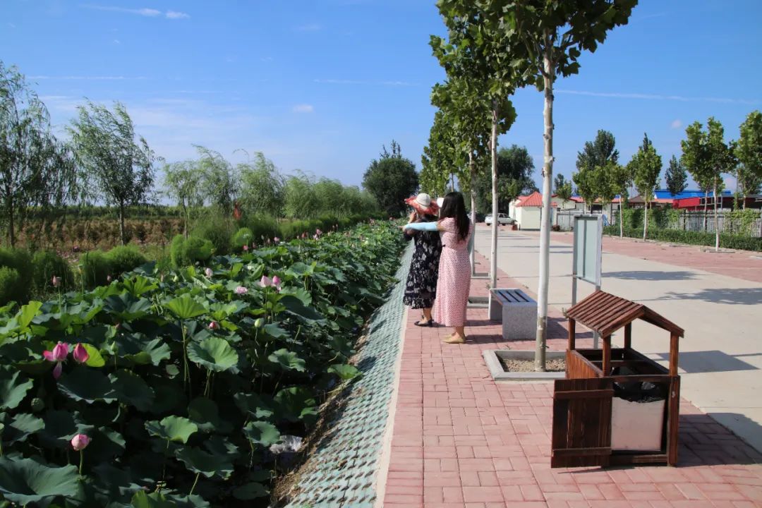 休闲农业和乡村旅游线路图,休闲农业旅游线路推荐