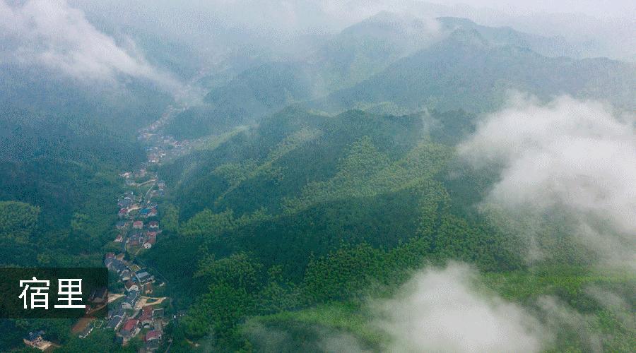 莫干山民宿天花板体验之旅,藏在莫干山间的民宿真的太美了