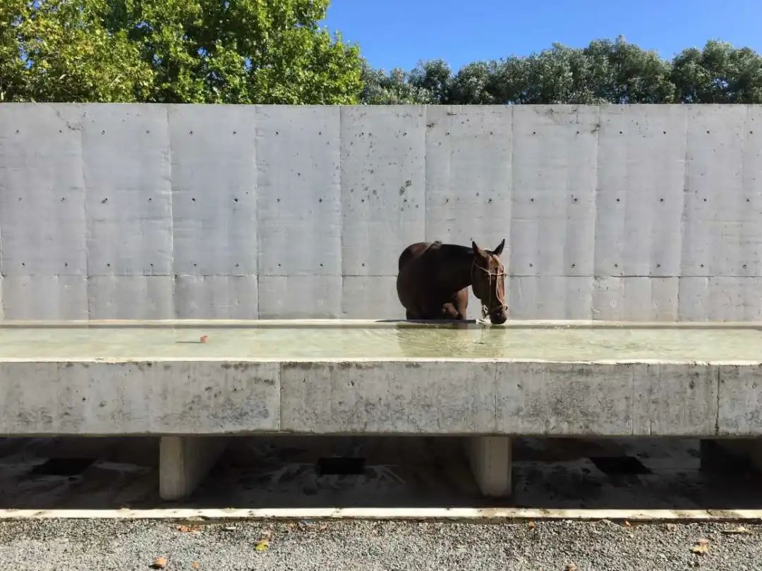 阿根廷EstudioRamos建筑事务所-真诚的现代主义！|EstudioRamos