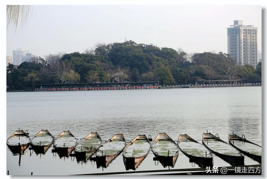 上海长风海洋公园和自然博物馆,上海长风公园占地面积