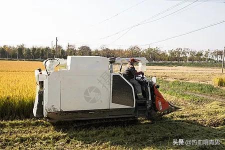 新型农业农民证,新型农业农民资格证书