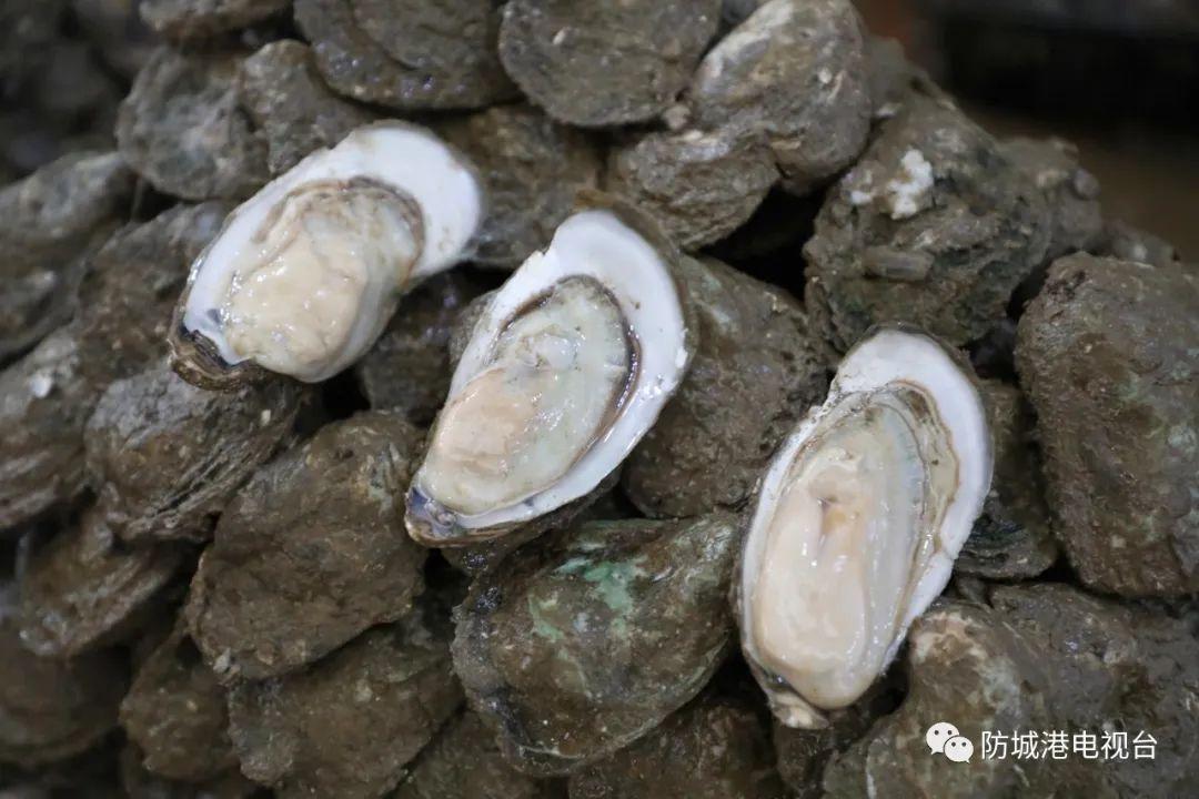 开海了一大波肥美海鲜上岸,开海去哪买海鲜