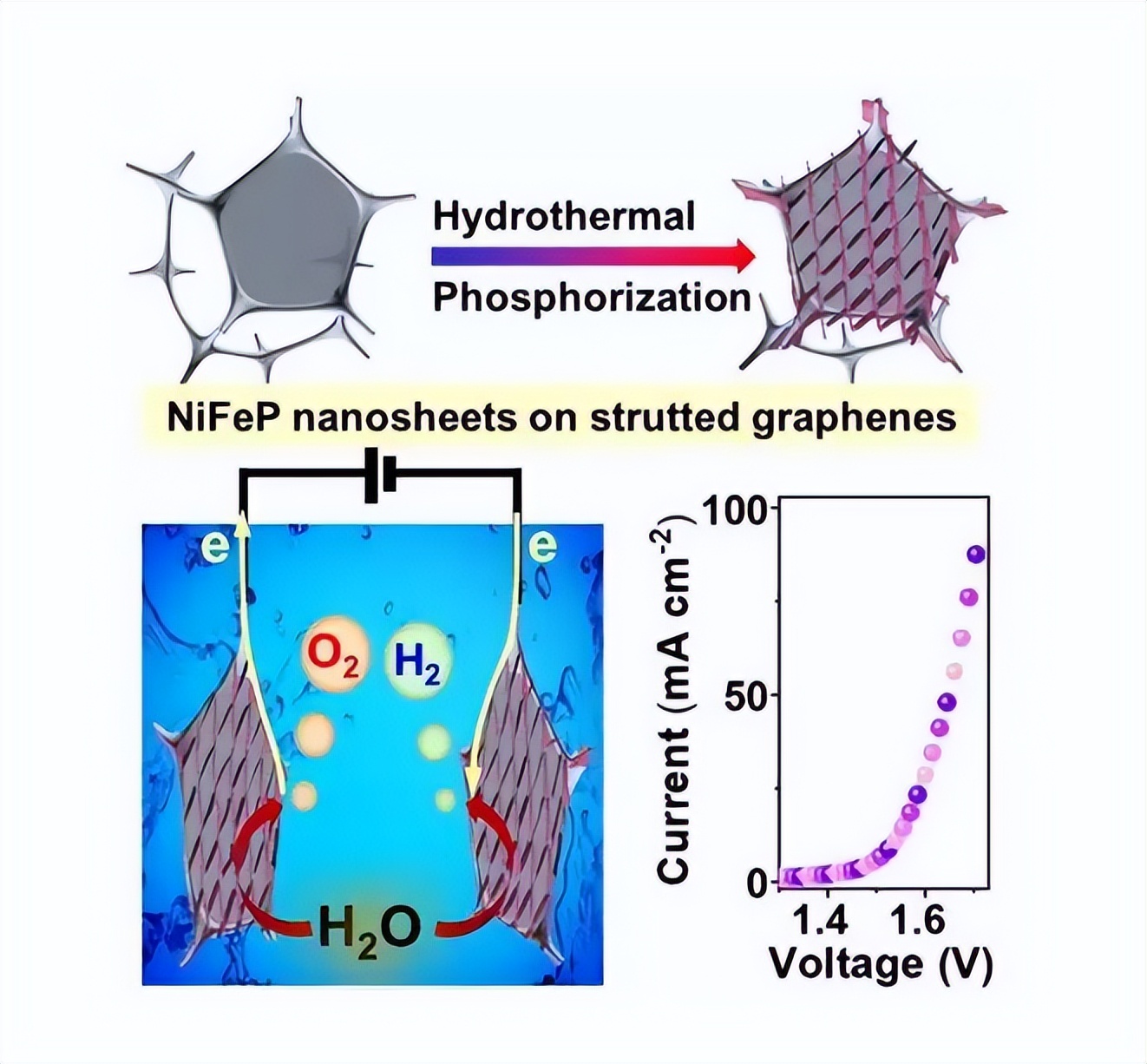 壳聚糖复合物的功效,壳聚糖复合物功效