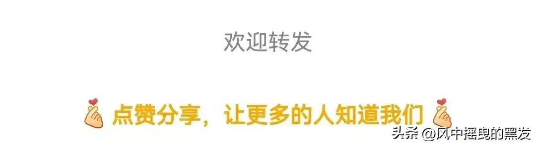 一天学一个成语怎么说,成语大全汗牛充栋