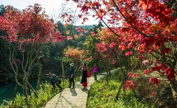 重庆郊外度假民宿排名,重庆旅行十一推荐民宿