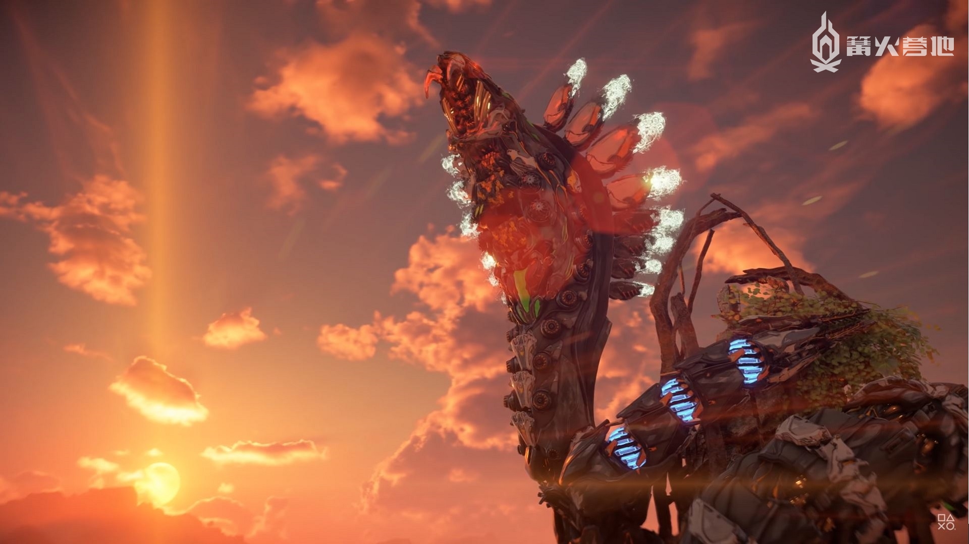 地平线西之绝境最强武器搭配,地平线零之曙光西之绝境故事线