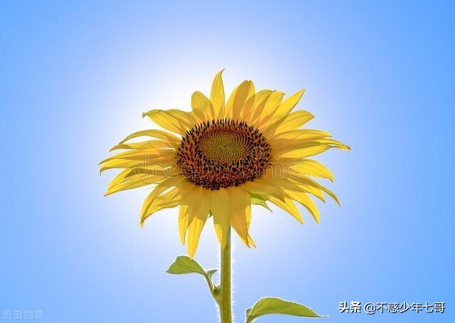 昨天在厂里摔了一跤,在公司摔了一跤几天后查出骨折