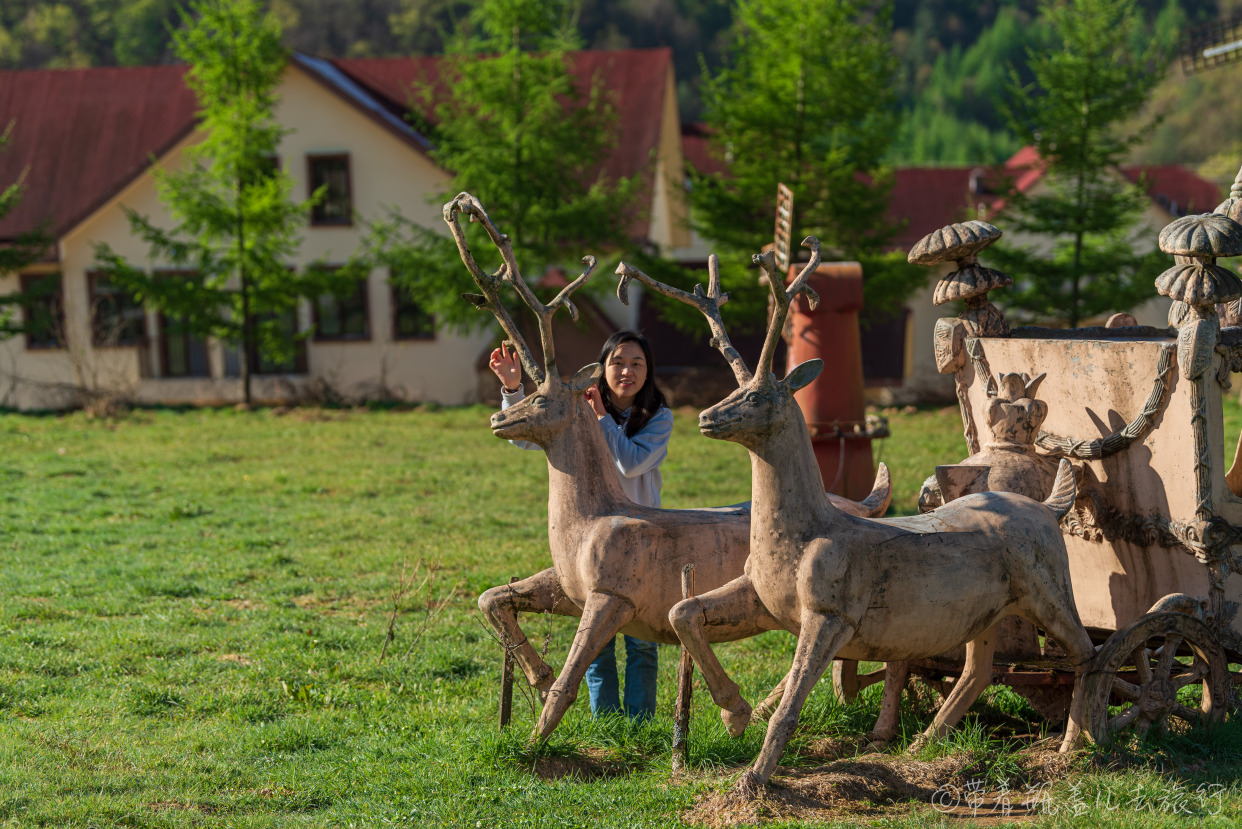 巫溪红叶自驾游,巫溪红池坝云中花海景点讲解