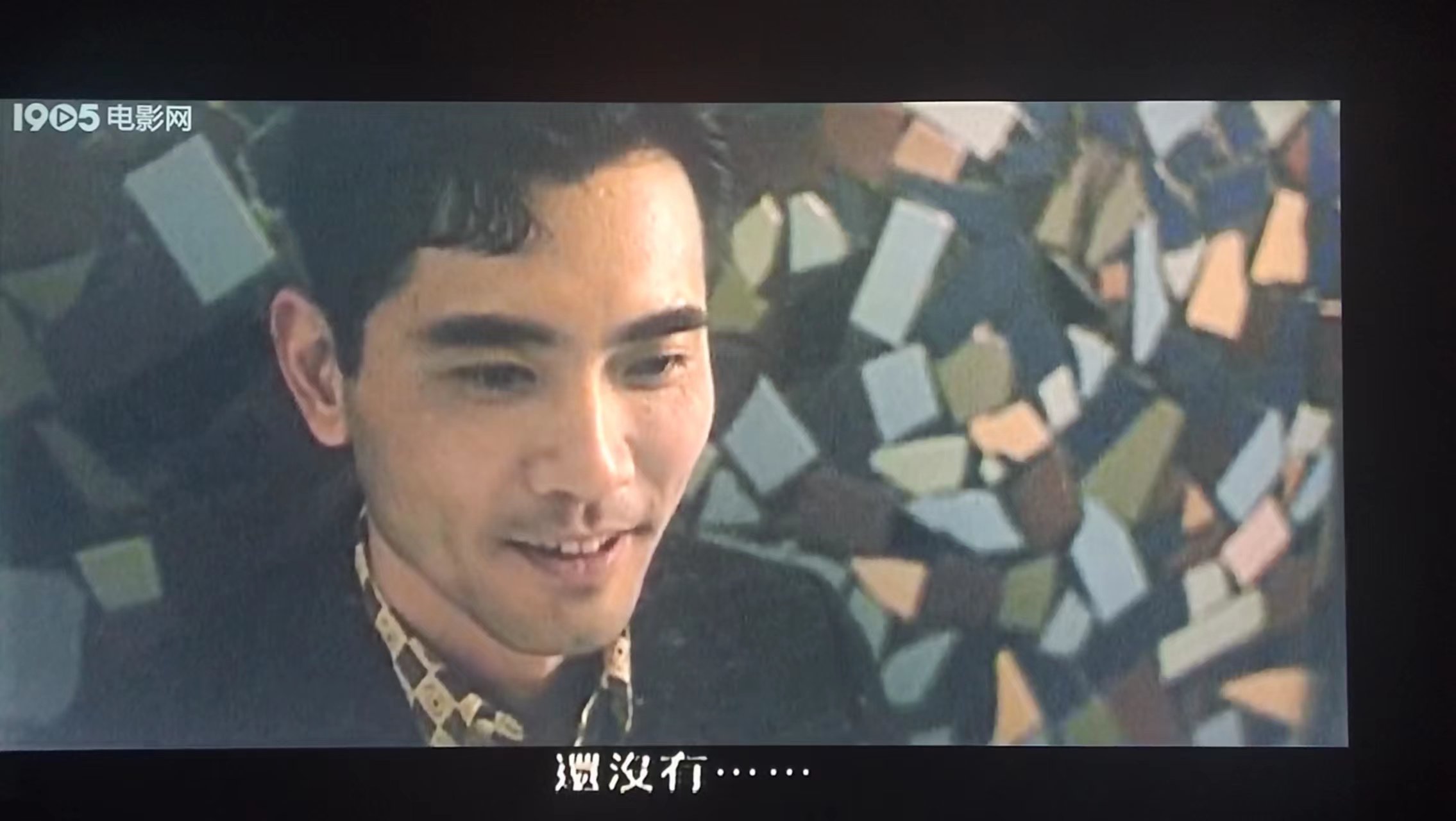 单身狗必看！玫瑰相关知识汇总！520网络情人节助你脱单