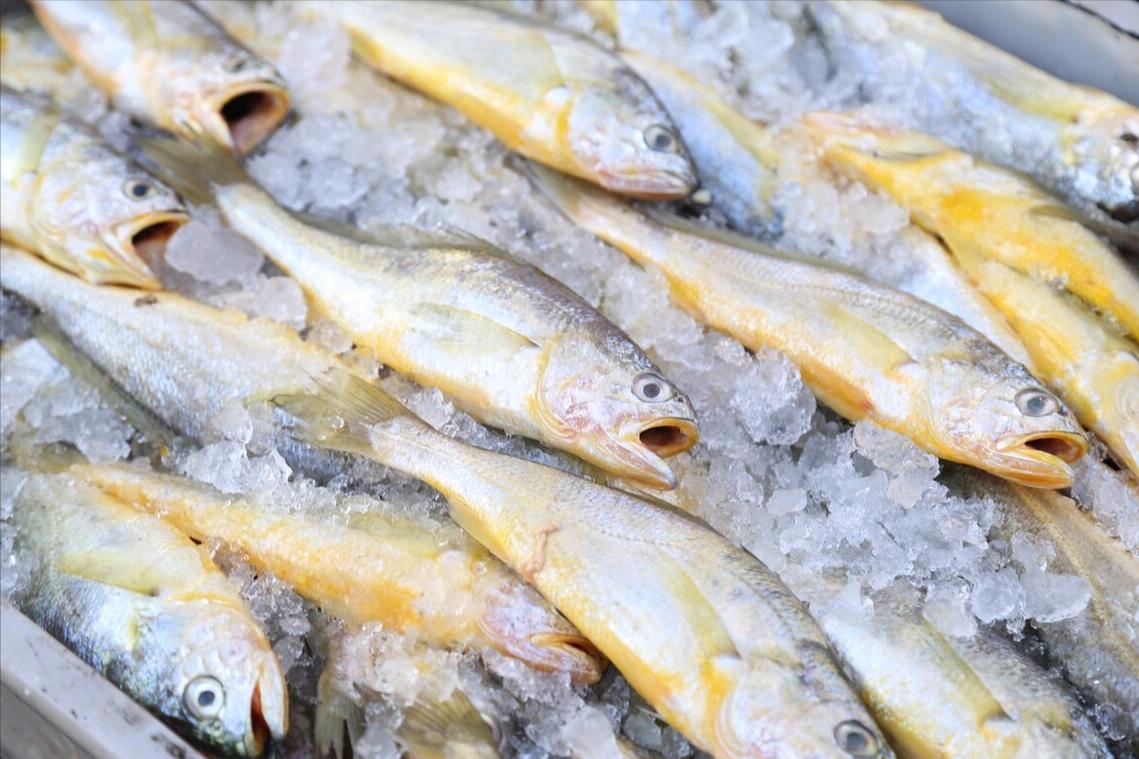 入秋后买海鲜，别忘挑5种“海鱼”，野生海鱼居多，肉质嫩还便宜
