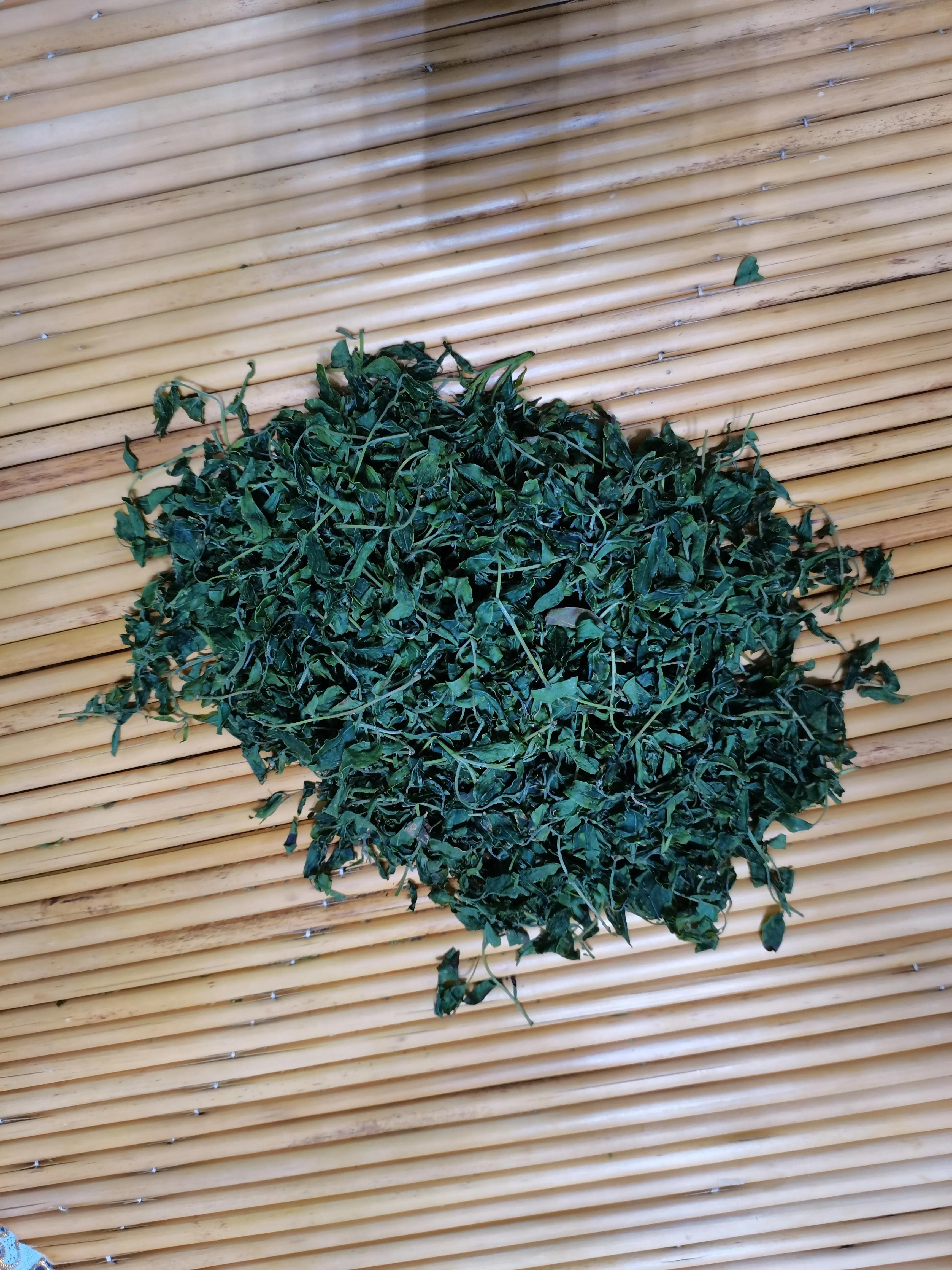 酸枣叶制茶做法,山上的野生酸枣叶可以采摘做茶吗