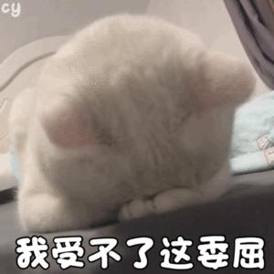 高中生的崩溃瞬间,高中生崩溃瞬间真实盘点