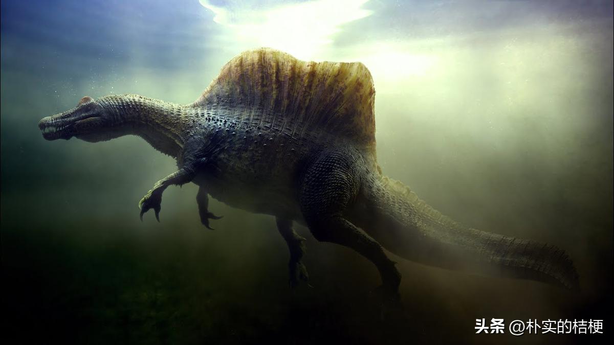 恐龙犯下的错误,恐龙错误代码