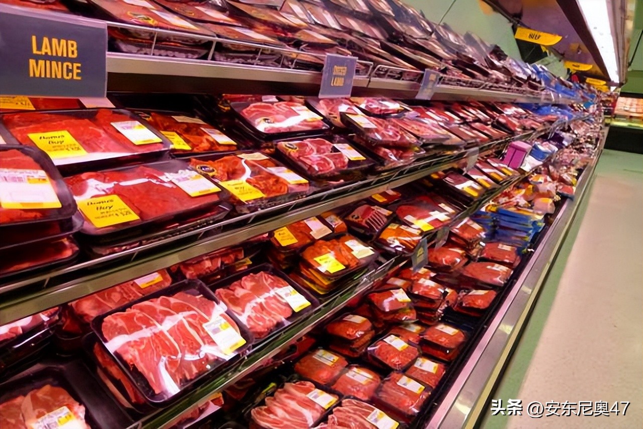 移民新西兰的真实感受,还原真实的海外留学