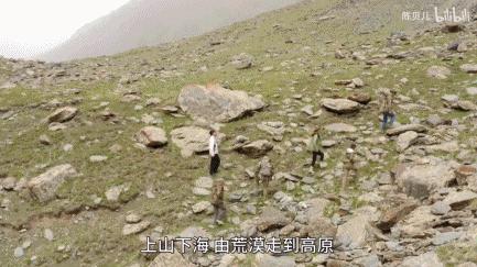 9.5分抖音顶流都来了，山寨小时代别来沾边