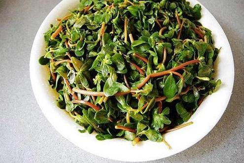 古代饥荒为啥不开仓放粮,古代饥荒人们是吃什么度过的