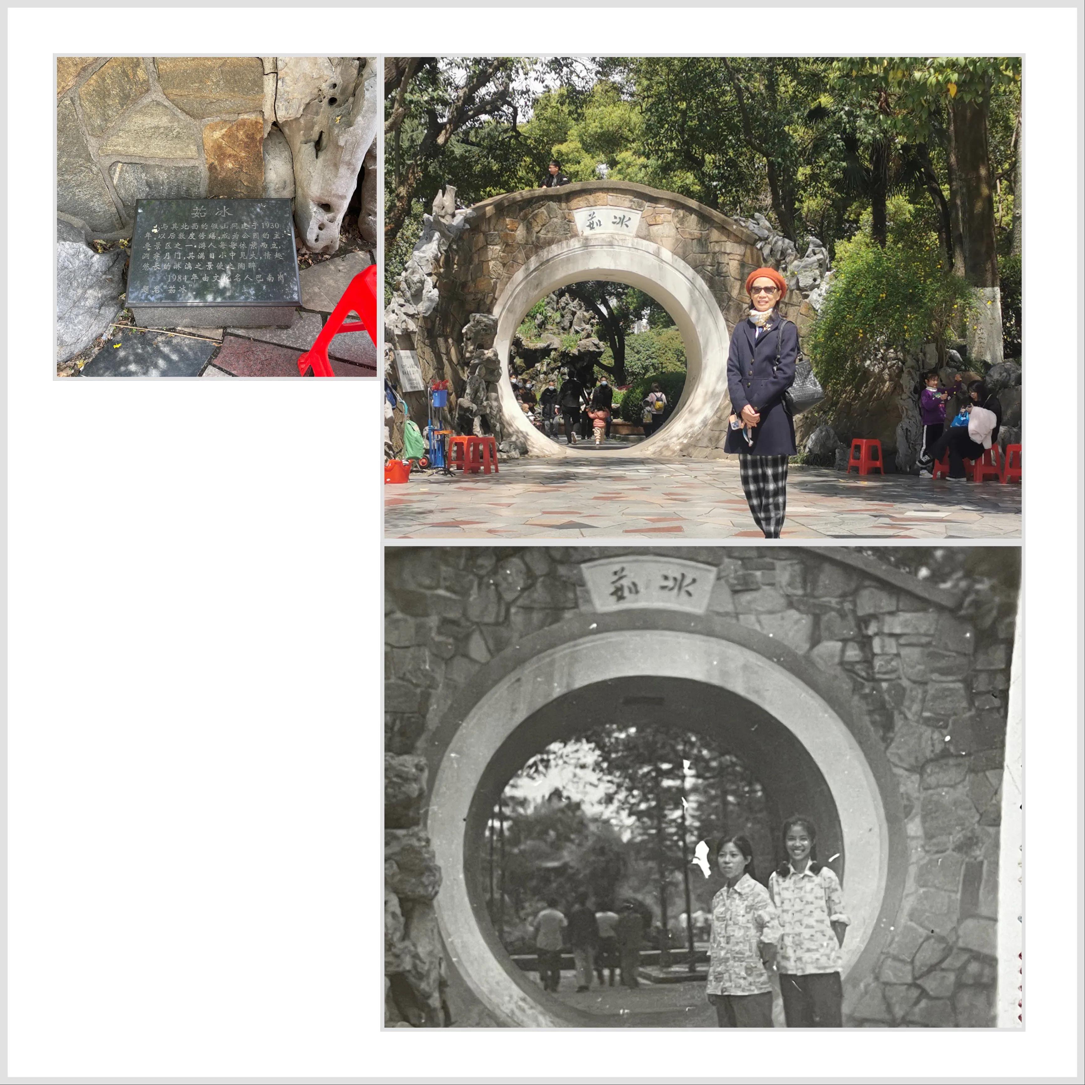 重游佛山中山公园儿时的记忆,重游佛山中山公园拍照片