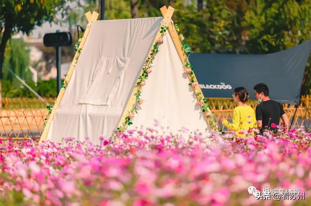 苏州赏花的地方,苏州三月中旬赏花去处