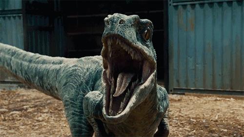 恐龙世界认识史前各种恐龙,食草恐龙和食肉恐龙科普视频