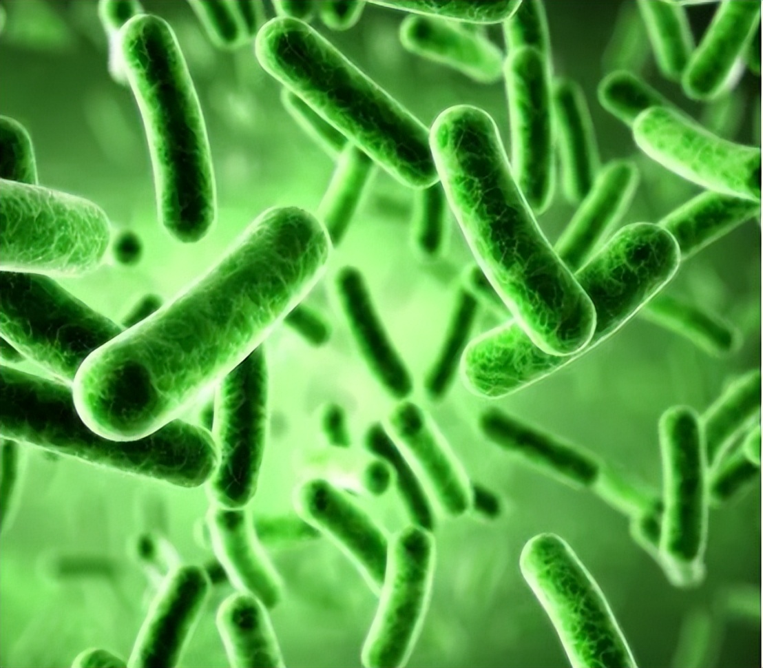 眼睛里进脏东西了用什么眼药水,眼睛里进了脏东西揉没有了去哪了