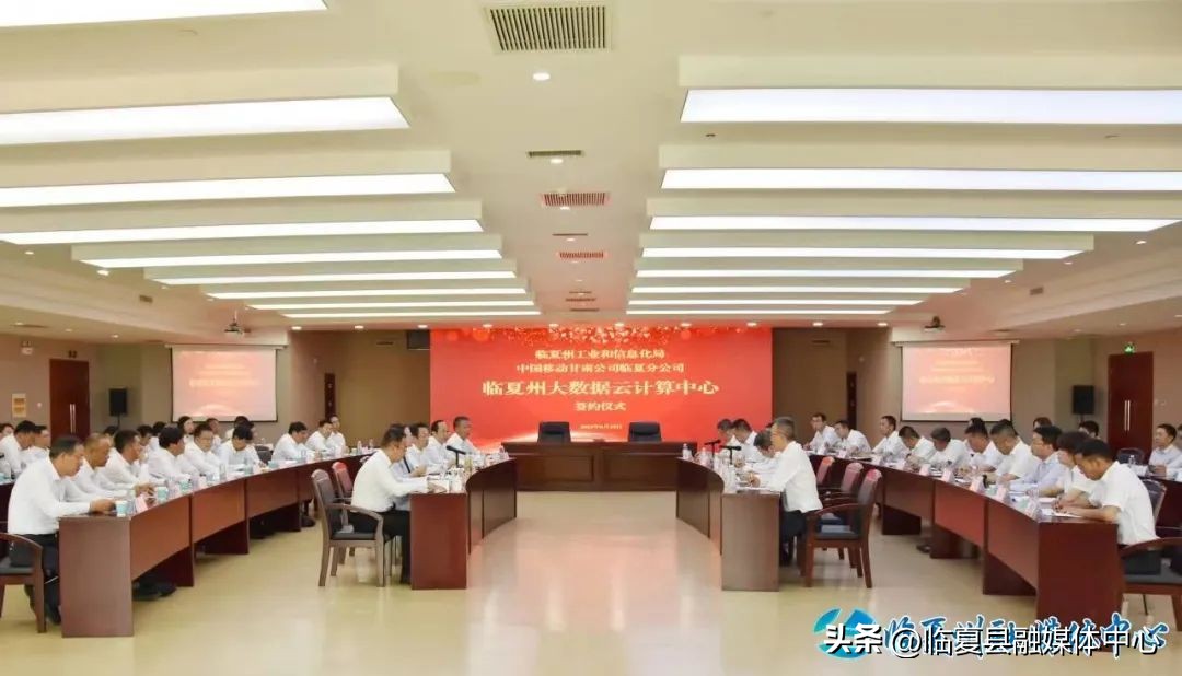 临夏数字经济,数字经济为高质量发展注入新动能