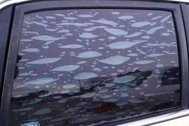 贴膜后几天可以开窗户,新车贴膜是贴窗户还是全车