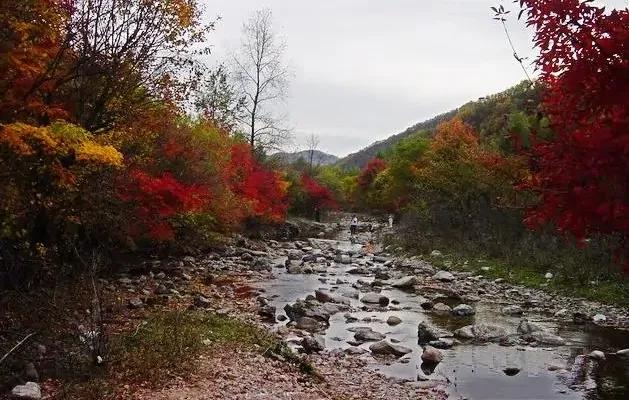辽宁本溪市,辽宁本溪市共享租赁项目加盟电话