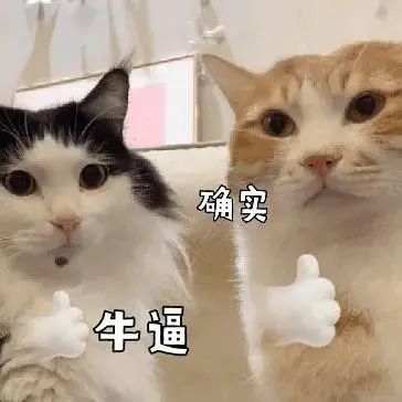 私部毛囊可以植发吗,腋窝的毛可以植发吗