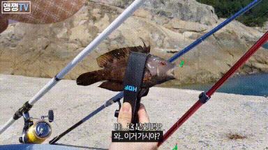 钓鱼网红女钓手,野钓网红女钓手