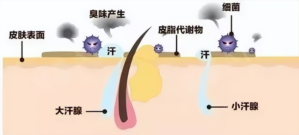 爱出汗的人适合去哪里,爱出汗的人一定要看吗