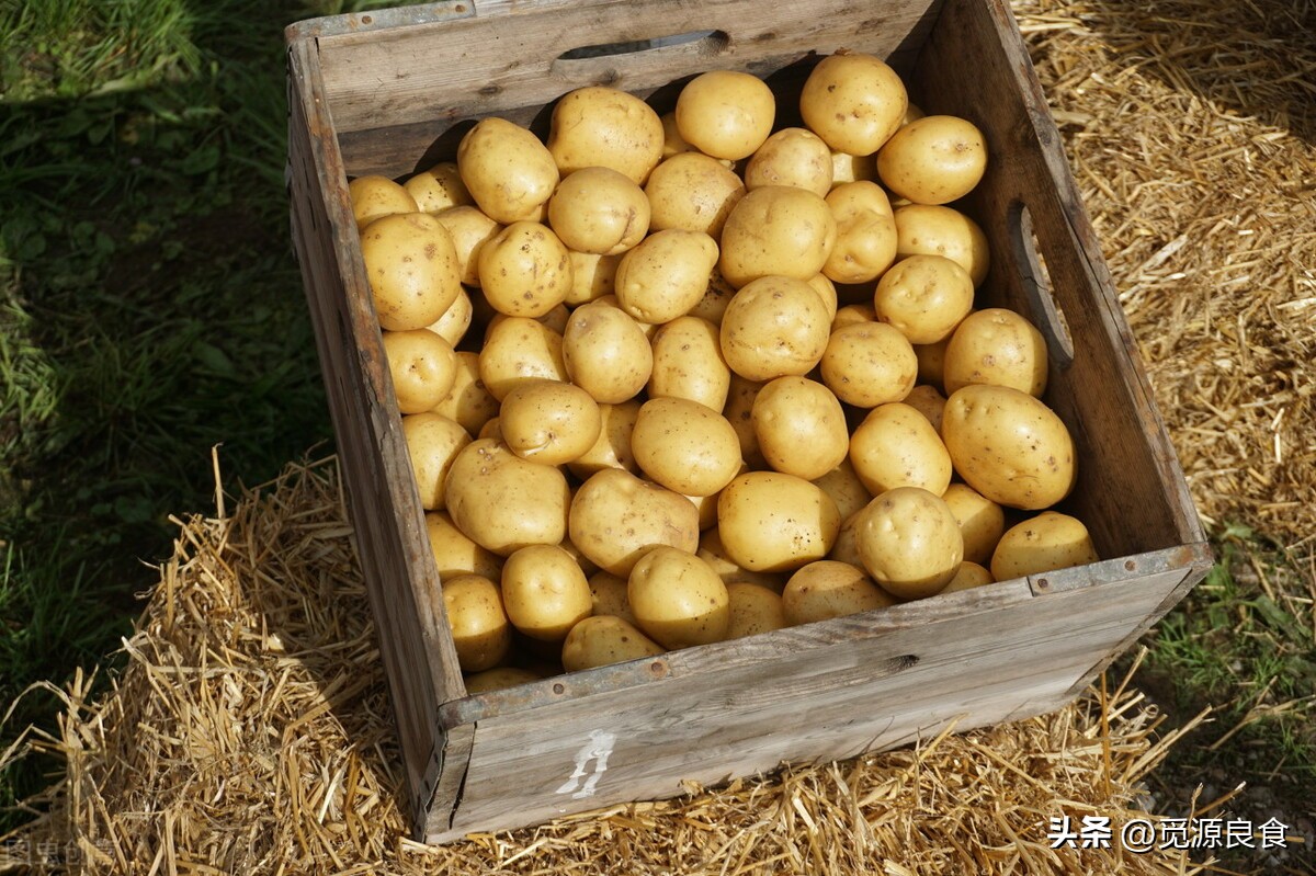 全国哪个省份土豆最便宜,全国冬季主要的土豆产地