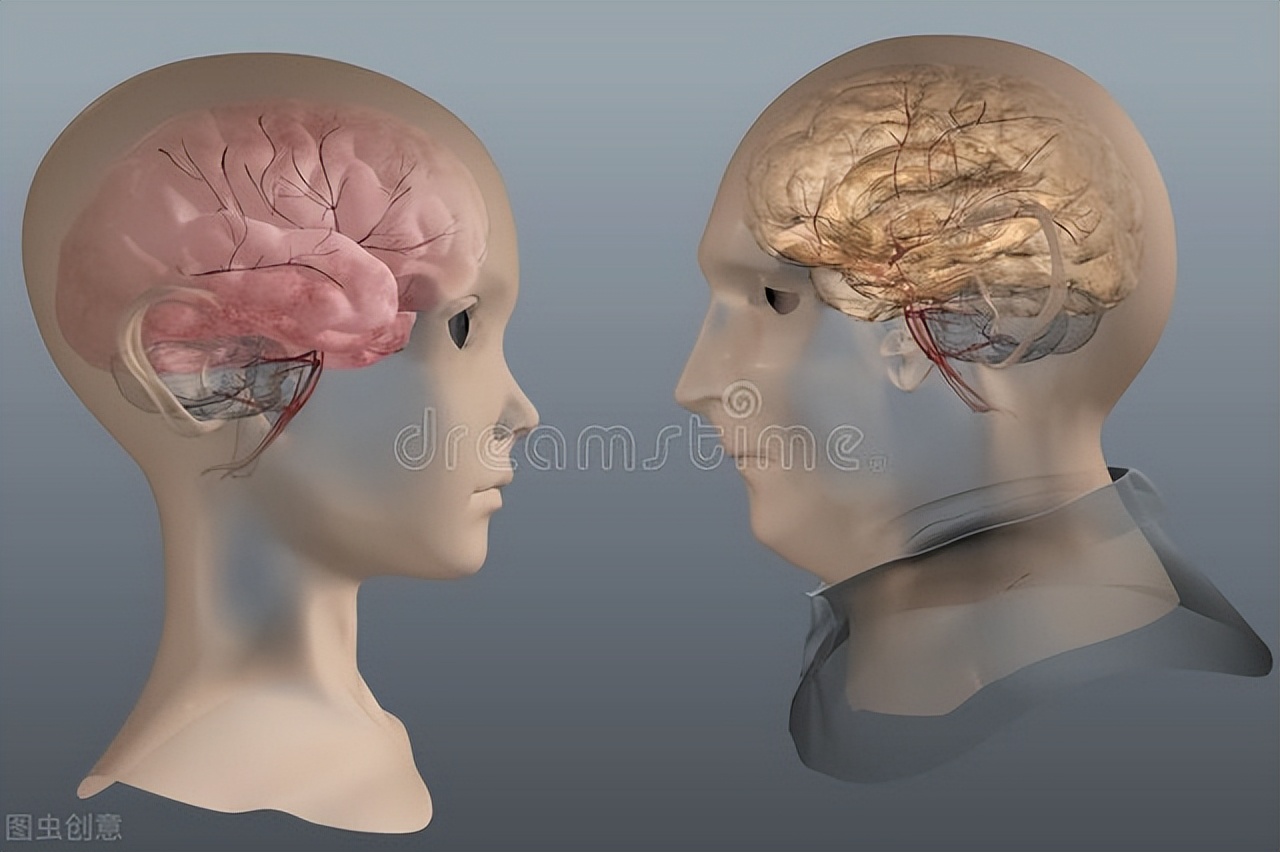 心房颤动诊断和治疗中国指南,心房颤动目前的认识和建议