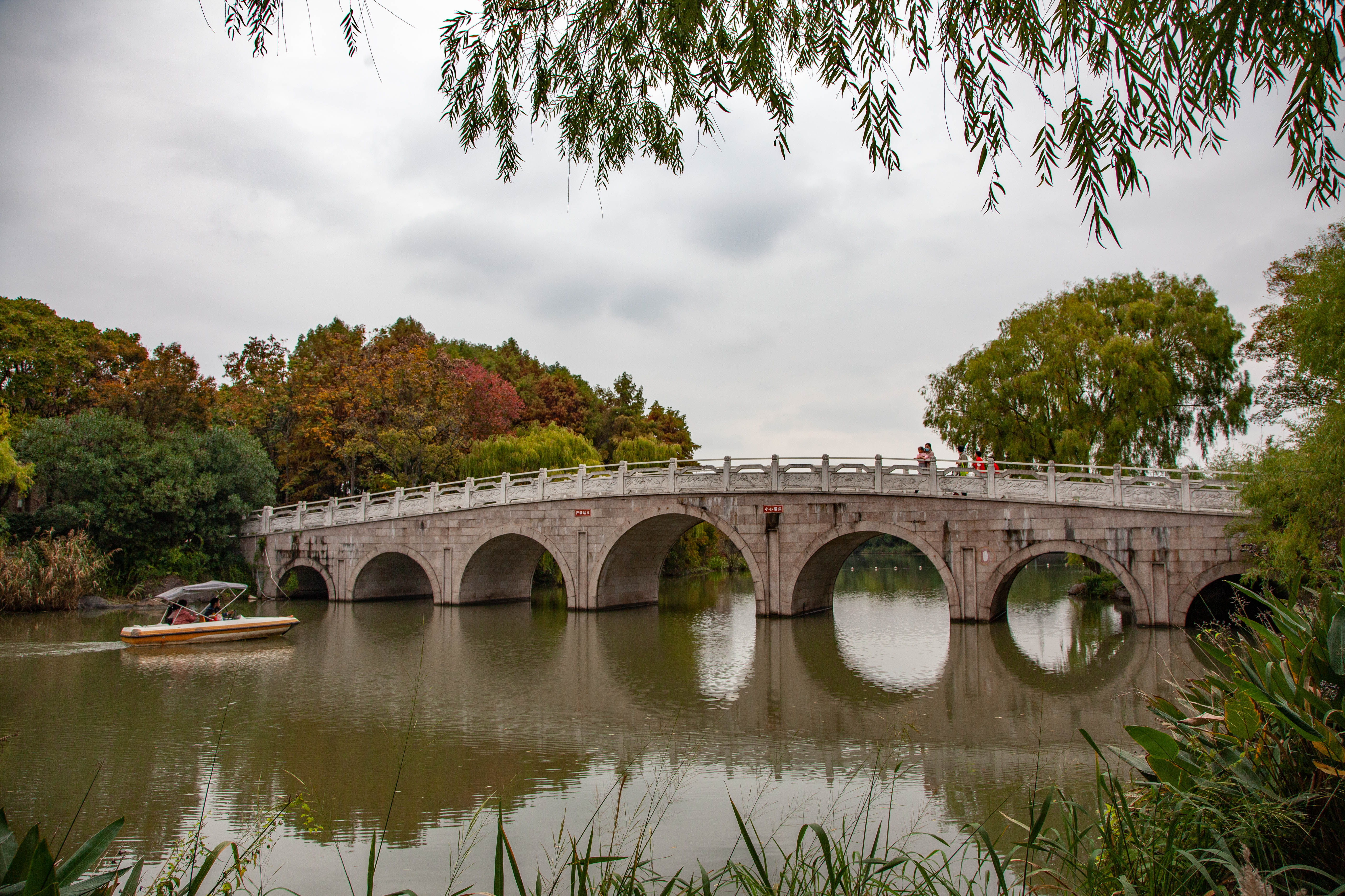 宝山顾村历史,上海宝山顾村老街