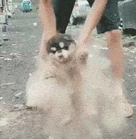 “帮表弟理发，不小心碗歪了，这下可咋办？”哈哈哈