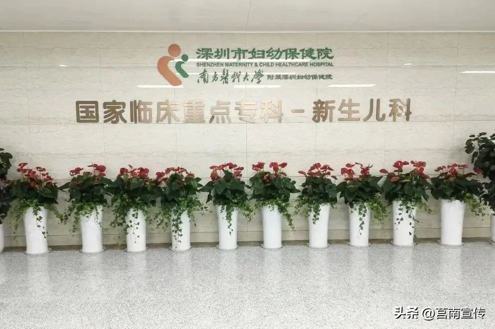 早产儿体重2斤能存活吗,不到两斤的早产儿能存活吗