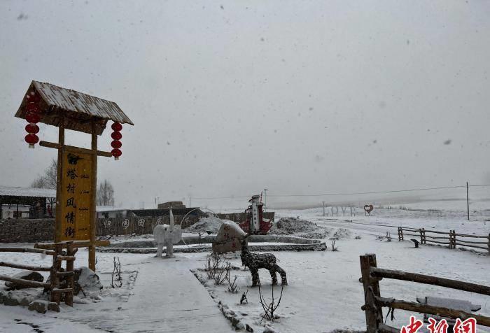 新疆塔村好玩吗,塔村十大网红景点