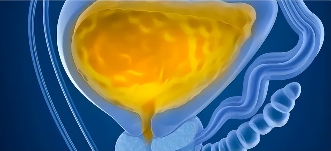 肾虚腰酸背痛尿频夜尿多,肾虚夜尿多尿频怎么调理